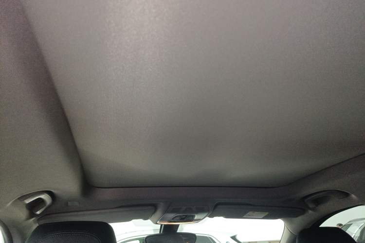 Used BMW X1 2019 sDrive20Li Leading Model Headliner