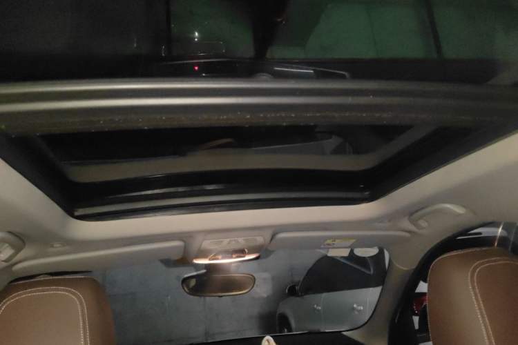Used BMW X1 2019 xDrive20Li Luxury Model Headliner