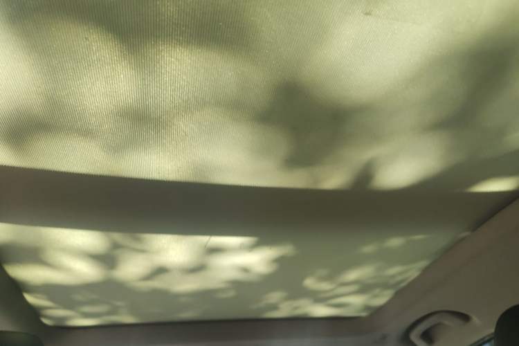 Used BMW X1 2019 sDrive20Li Leading Model Headliner