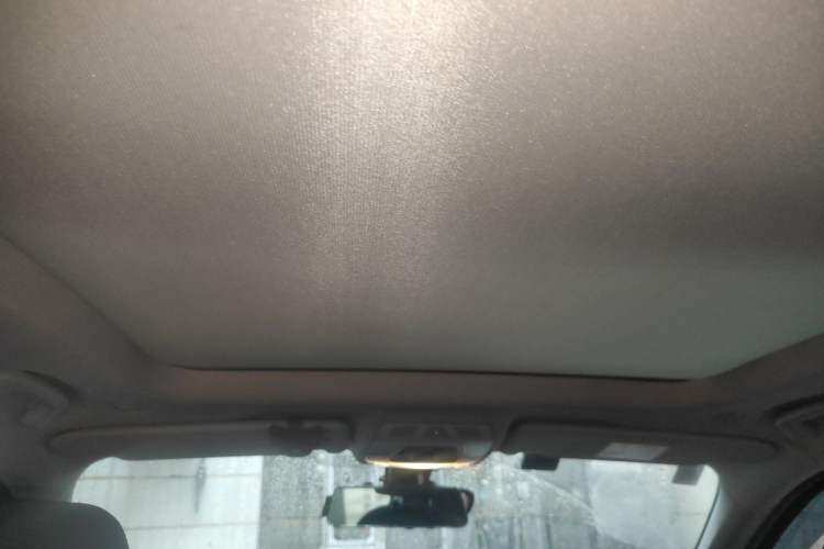 Used BMW X1 2019 sDrive20Li Leading Model Headliner