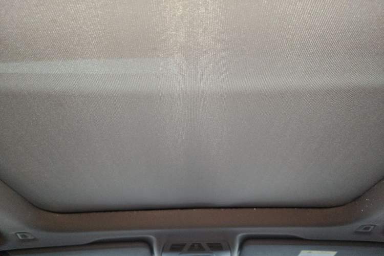 Used BMW X1 2019 sDrive18Li Premium Edition Headliner