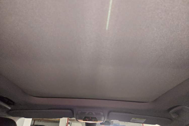 Used BMW X1 2019 sDrive20Li Leading Model Headliner