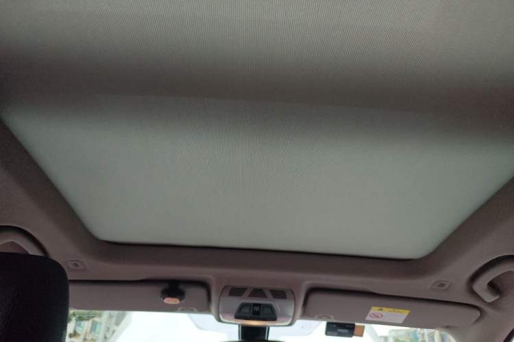 Used BMW X1 2019 sDrive20Li Leading Model Headliner