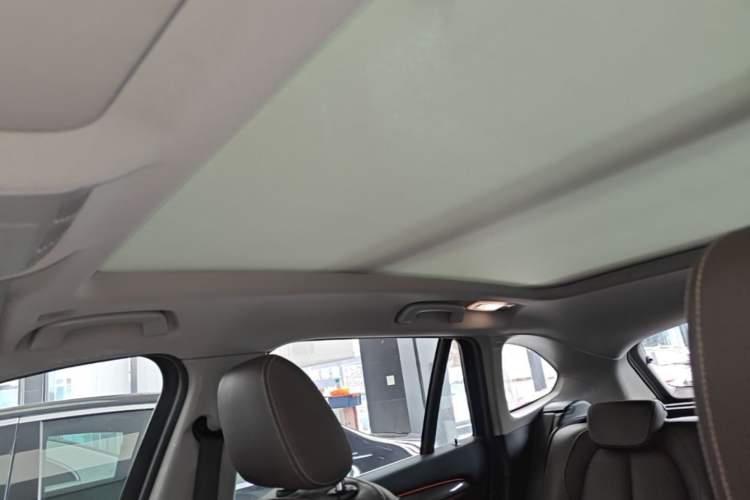 Used BMW X1 2019 xDrive20Li Luxury Model Headliner