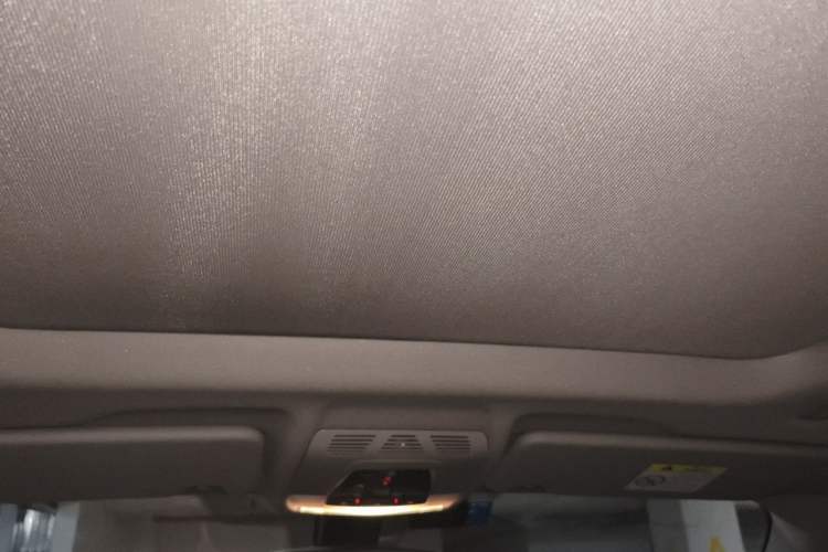 Used BMW X1 2019 xDrive20Li Luxury Model Headliner