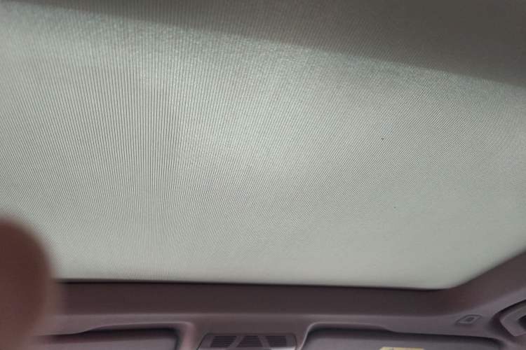 Used BMW X1 2019 xDrive20Li Luxury Model Headliner