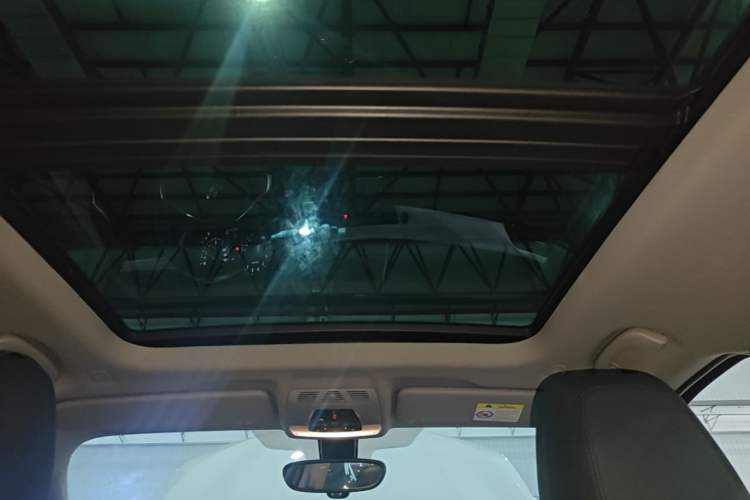 Used BMW X1 2019 sDrive20Li Leading Model Headliner