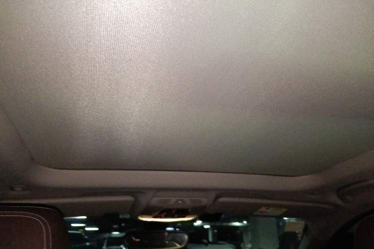 Used BMW X1 2019 sDrive18Li Premium Edition Headliner