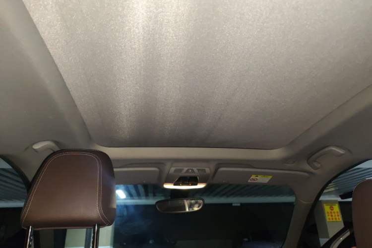 Used BMW X1 2019 xDrive20Li Luxury Model Headliner