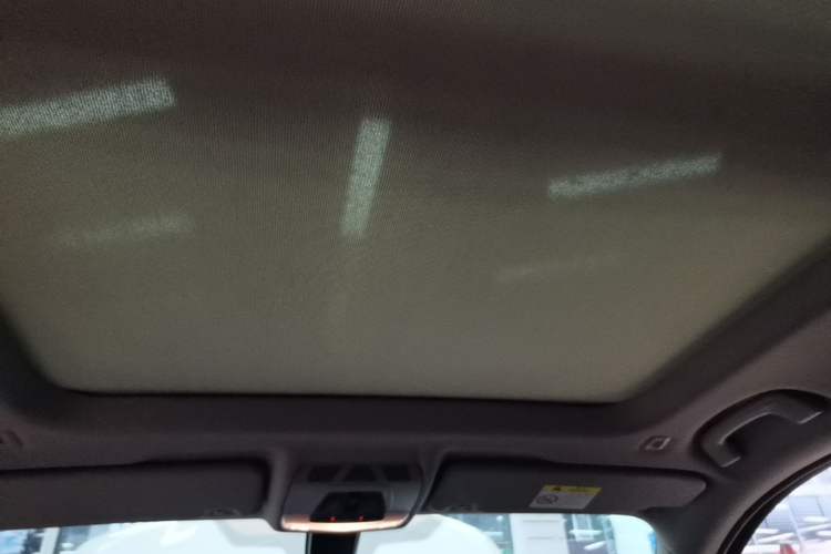 Used BMW X1 2019 sDrive20Li Leading Model Headliner