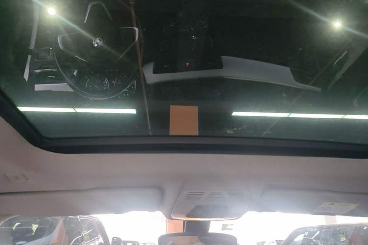 Used BMW X1 2019 sDrive20Li Leading Model Headliner