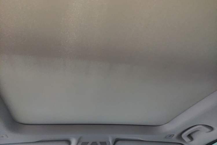 Used BMW X1 2019 sDrive20Li Leading Model Headliner