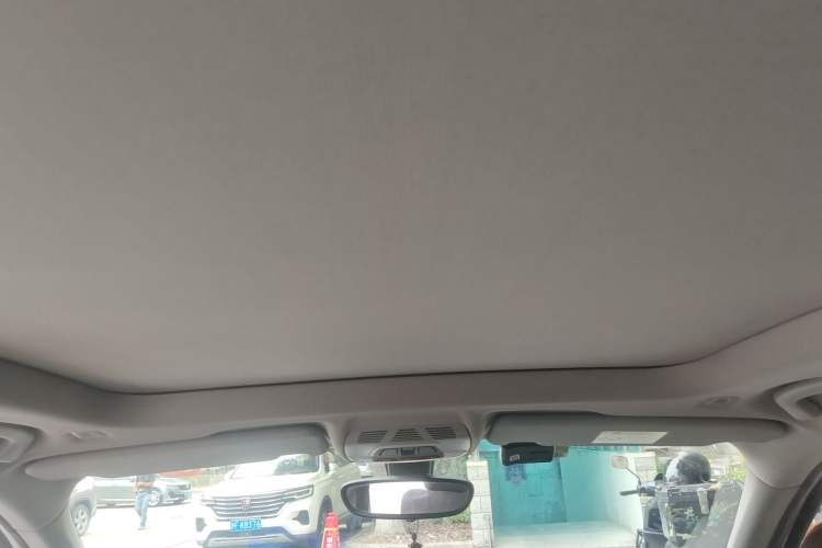Used BMW X1 2019 xDrive20Li Luxury Model Headliner