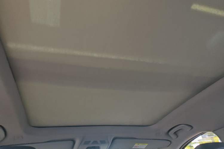 Used BMW X1 2019 sDrive20Li Leading Model Headliner