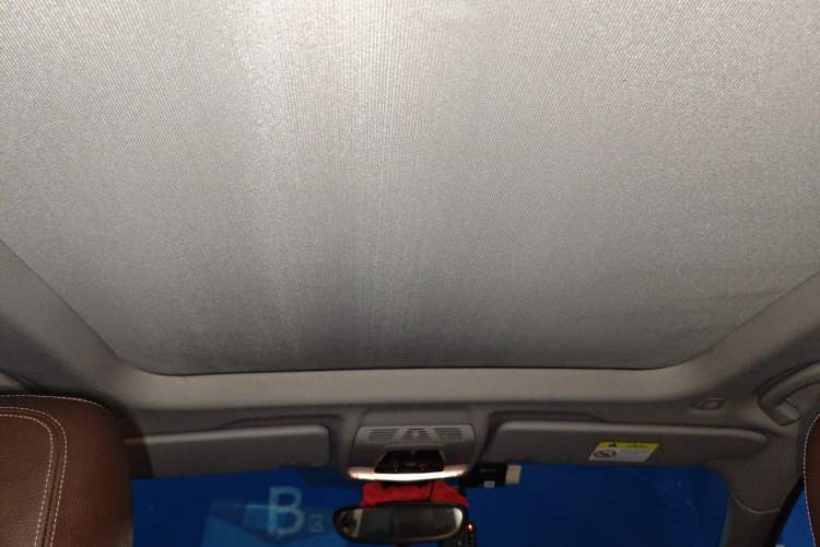 Used BMW X1 2019 xDrive20Li Luxury Model Headliner