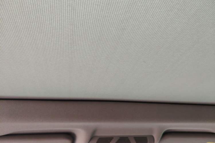 Used BMW X1 2019 sDrive18Li Premium Edition Headliner