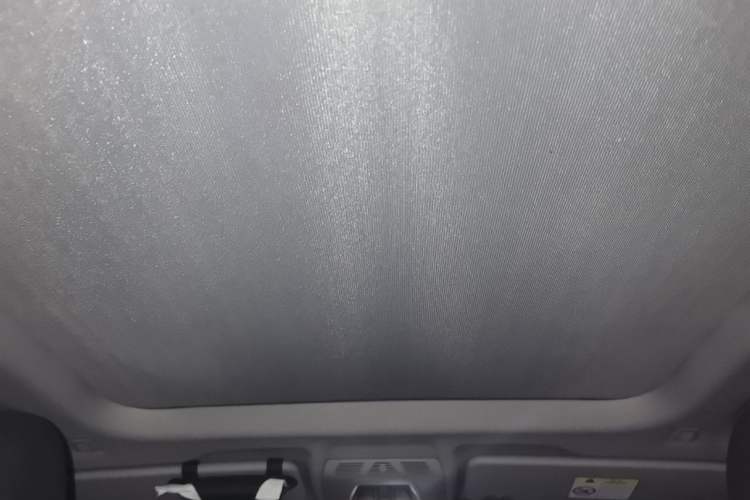 Used BMW X1 2019 sDrive20Li Leading Model Headliner
