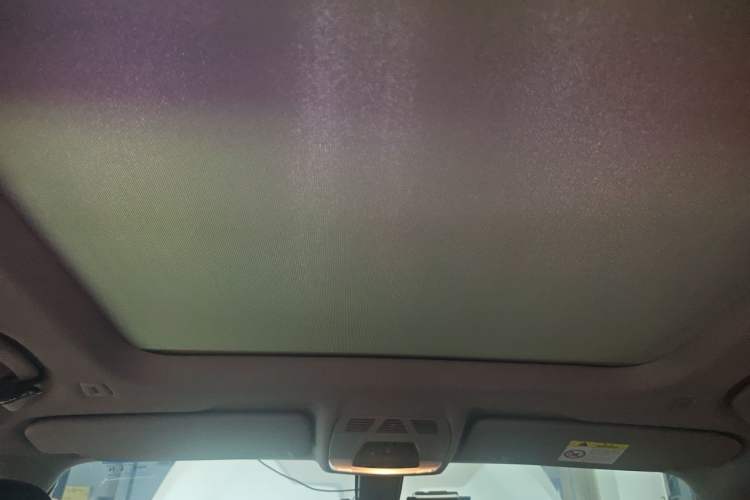 Used BMW X1 2019 sDrive20Li Leading Model Headliner