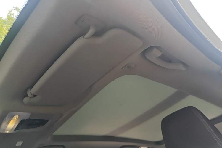 Used BMW X1 2019 sDrive18Li Premium Edition Headliner