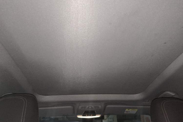 Used BMW X1 2019 xDrive20Li Luxury Model Headliner