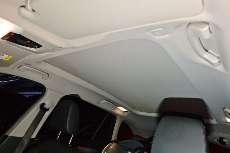 Used BMW X1 2019 sDrive20Li Leading Model Headliner