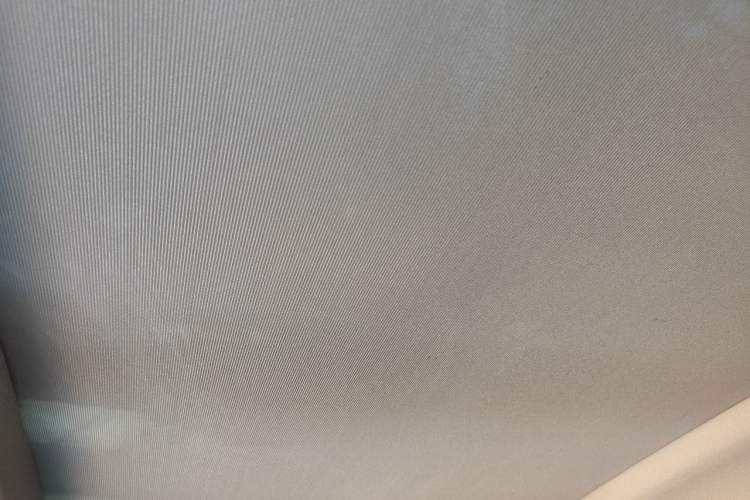Used BMW X1 2019 xDrive20Li Luxury Model Headliner