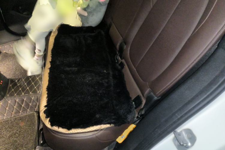 Used BMW X1 2019 sDrive18Li Premium Edition Left Rear Seat