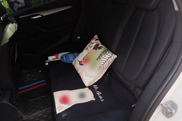 Used BMW X1 2019 sDrive18Li Fashion Model Left Rear Seat