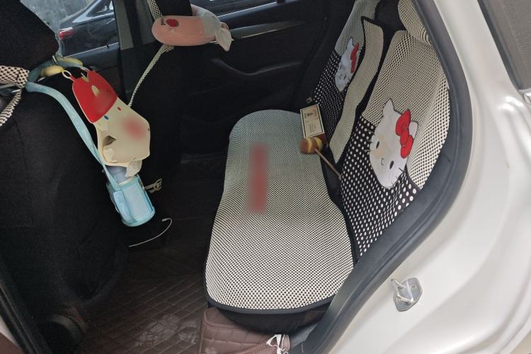 Used BMW X1 2019 sDrive18Li Premium Edition Left Rear Seat