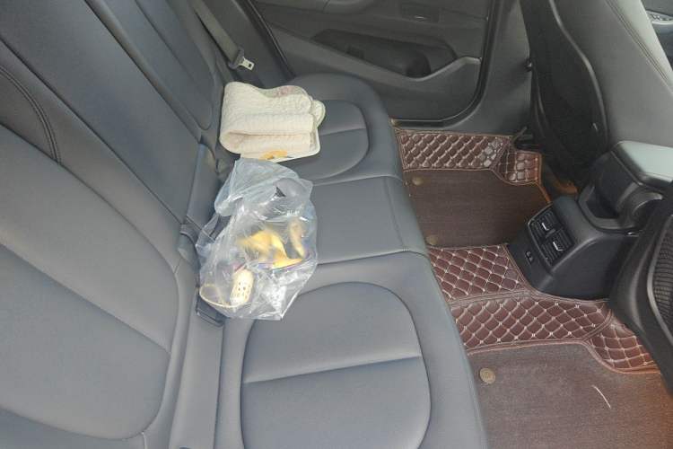 Used BMW X1 2019 sDrive18Li Fashion Model Left Rear Seat
