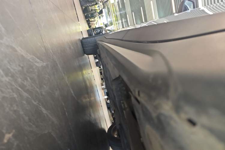 Used BMW X1 2019 sDrive20Li Leading Model Left Side Sill