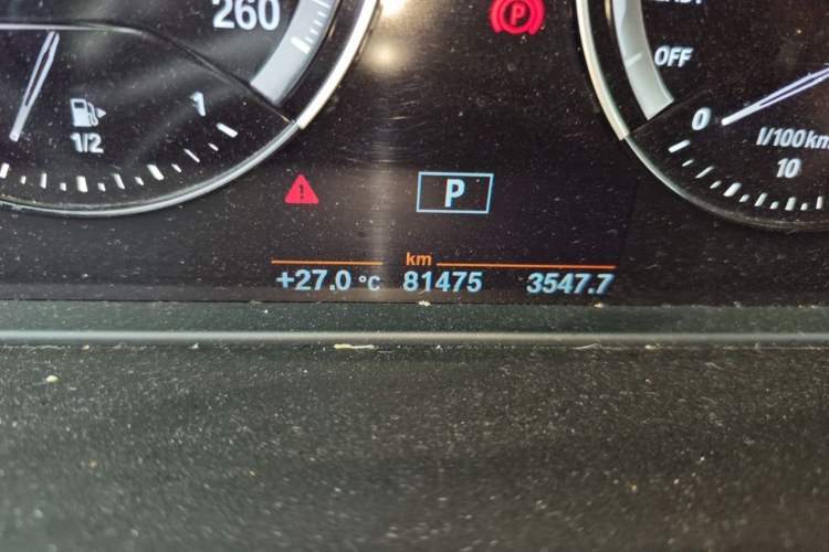 Used BMW X1 2019 sDrive20Li Leading Model Odometer Close Up