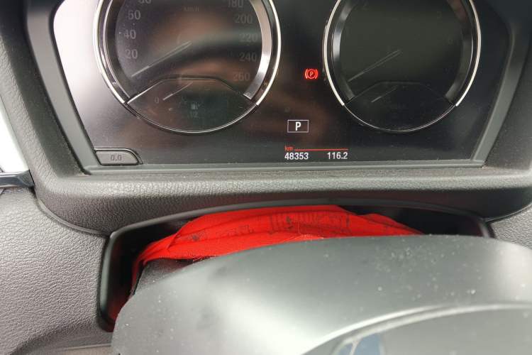 Used BMW X1 2019 sDrive20Li Leading Model Odometer Close Up