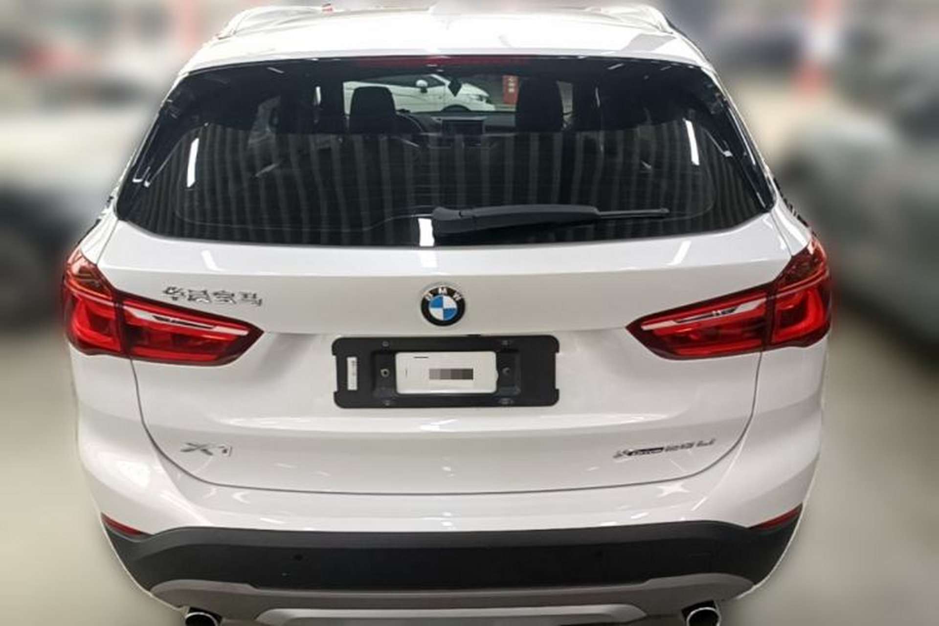 Used BMW X1 2019 xDrive20Li Luxury Model Rear