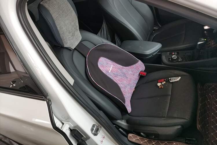 Used BMW X1 2019 sDrive18Li Fashion Model Right Front Seat
