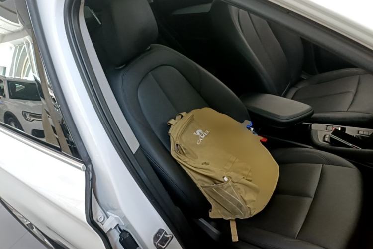 Used BMW X1 2019 sDrive20Li Leading Model Right Front Seat