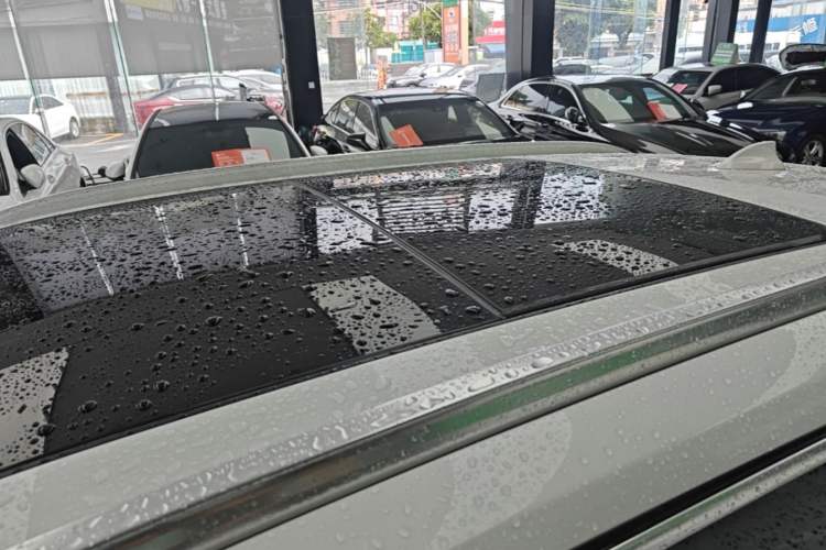 Used BMW X1 2019 xDrive20Li Luxury Model Roof