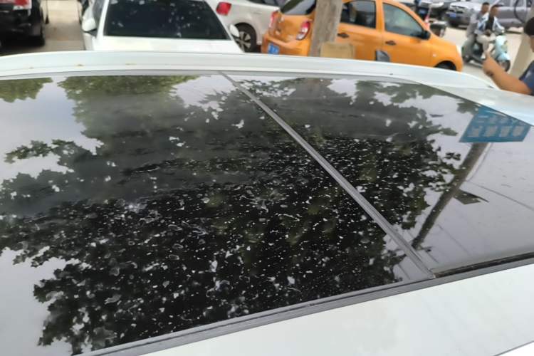Used BMW X1 2019 sDrive20Li Leading Model Roof