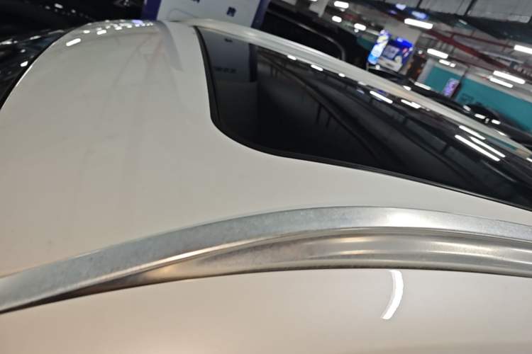 Used BMW X1 2019 sDrive20Li Leading Model Roof