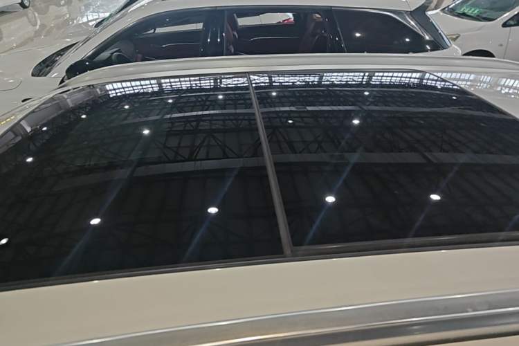 Used BMW X1 2019 sDrive20Li Leading Model Roof