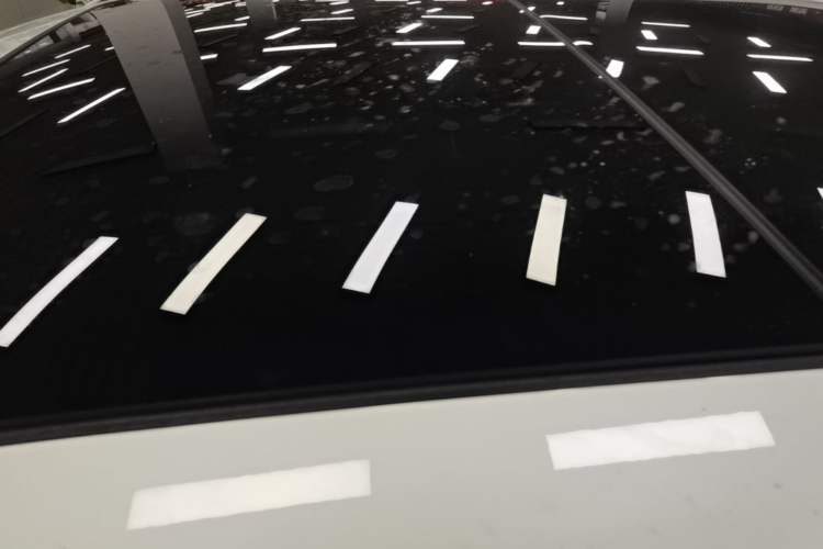 Used BMW X1 2019 sDrive20Li Leading Model Roof