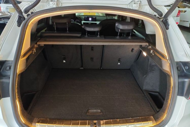 Used BMW X1 2019 sDrive20Li Leading Model Trunk
