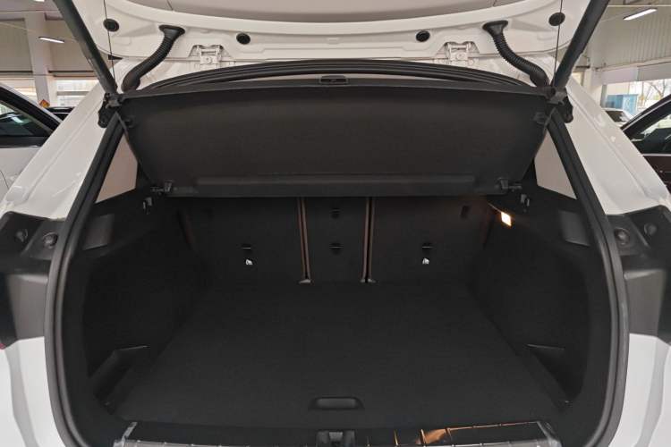 Used BMW X1 2019 xDrive20Li Luxury Model Trunk