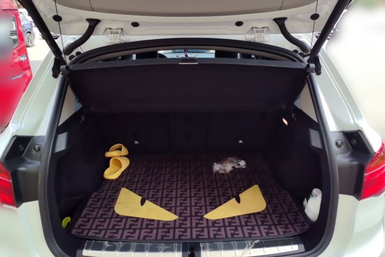 Used BMW X1 2019 sDrive20Li Leading Model Trunk