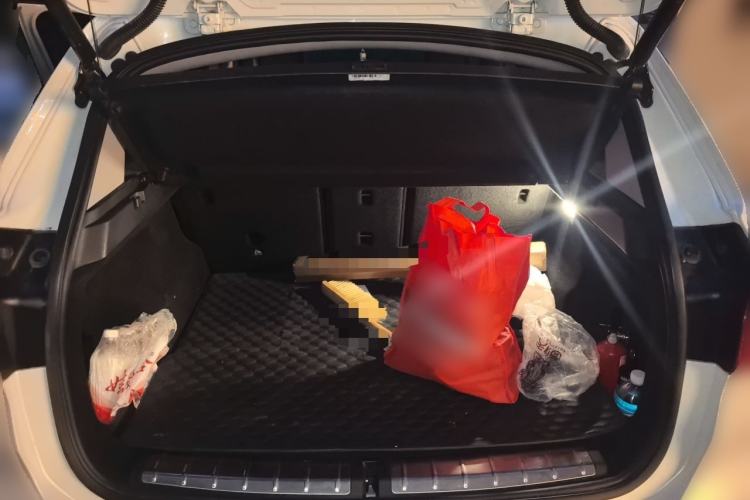 Used BMW X1 2019 sDrive20Li Leading Model Trunk