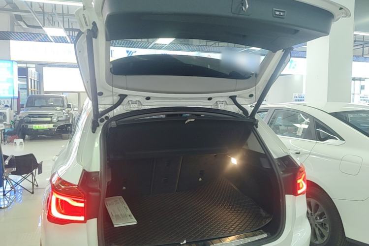 Used BMW X1 2019 xDrive20Li Luxury Model Trunk