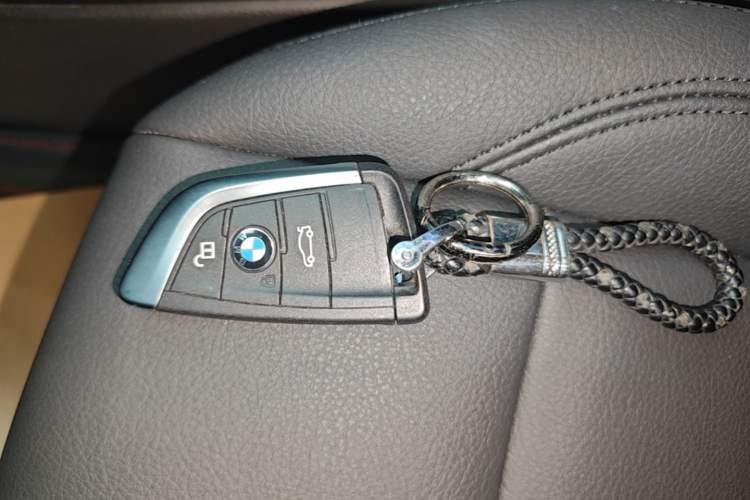Used BMW X1 2019 sDrive20Li Leading Model Vehicle Key