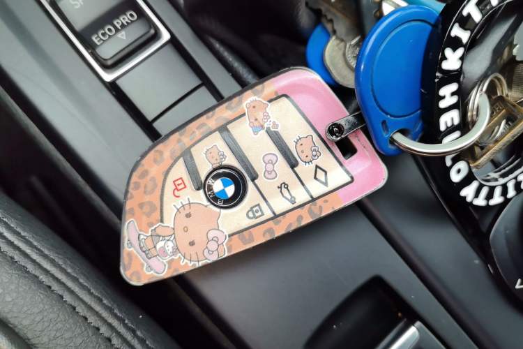 Used BMW X1 2019 sDrive20Li Leading Model Vehicle Key