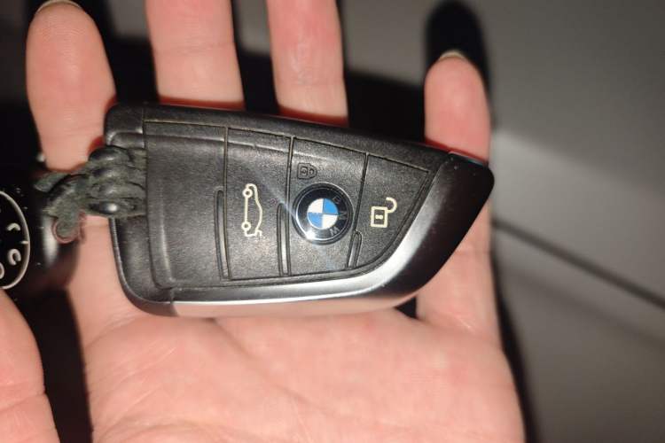 Used BMW X1 2019 sDrive20Li Leading Model Vehicle Key