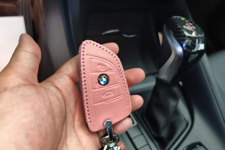 Used BMW X1 2019 sDrive20Li Leading Model Vehicle Key